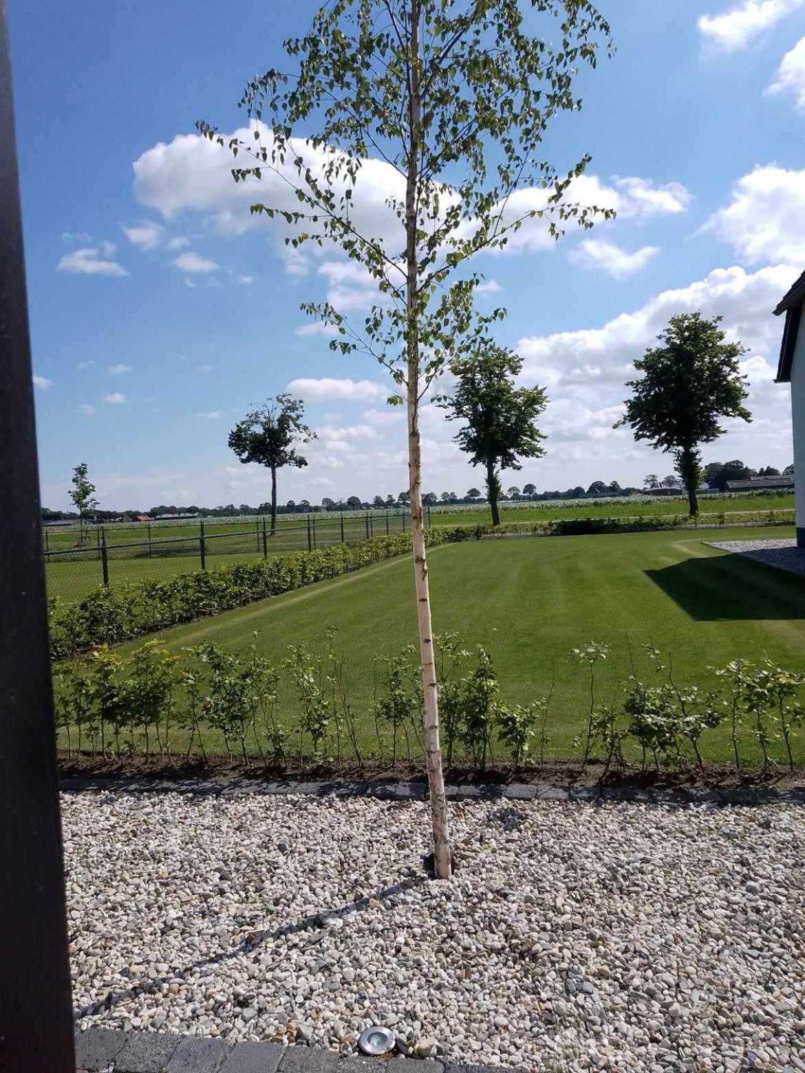 Ut Witte Huisje Venhorst エクステリア 写真