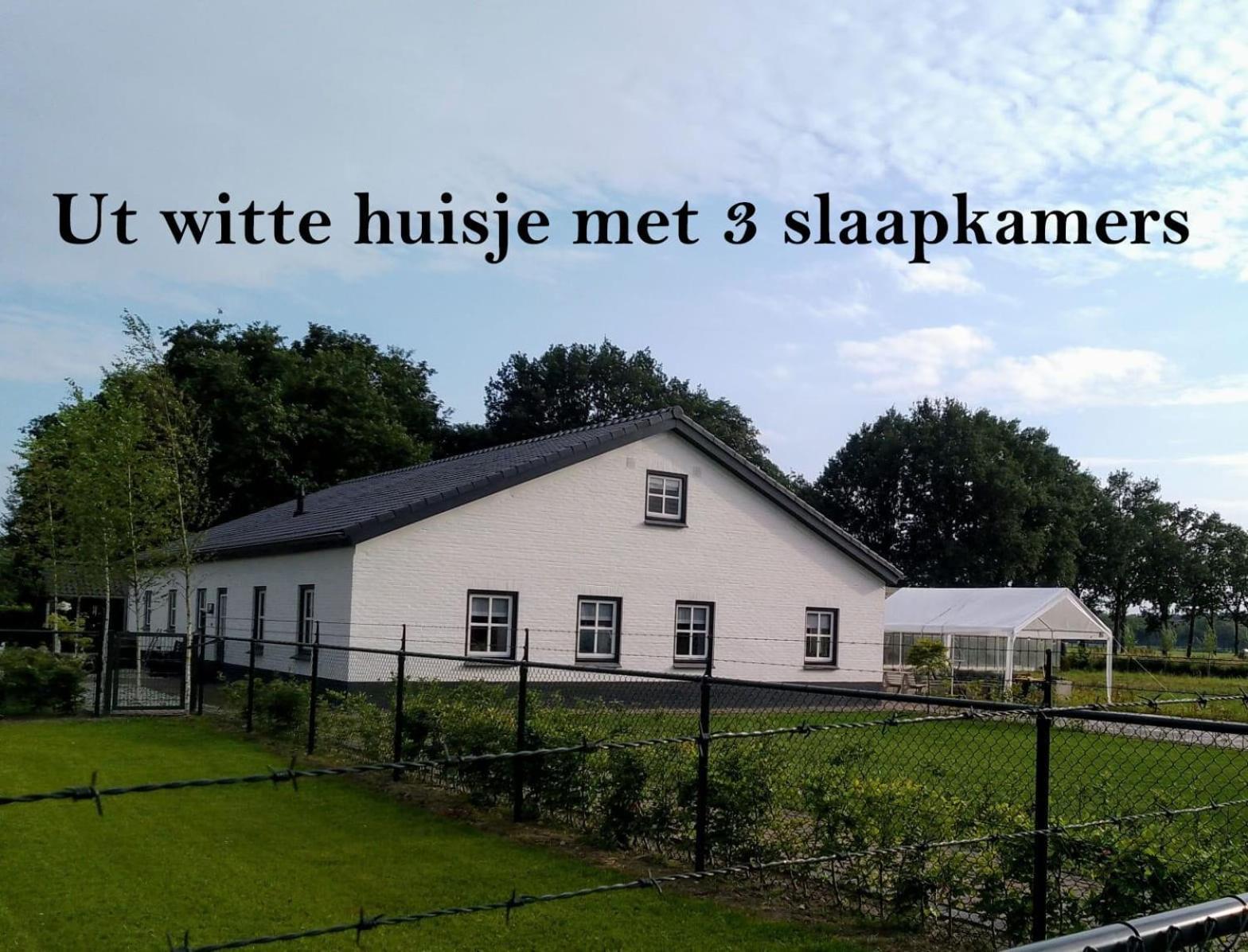 Ut Witte Huisje Venhorst エクステリア 写真