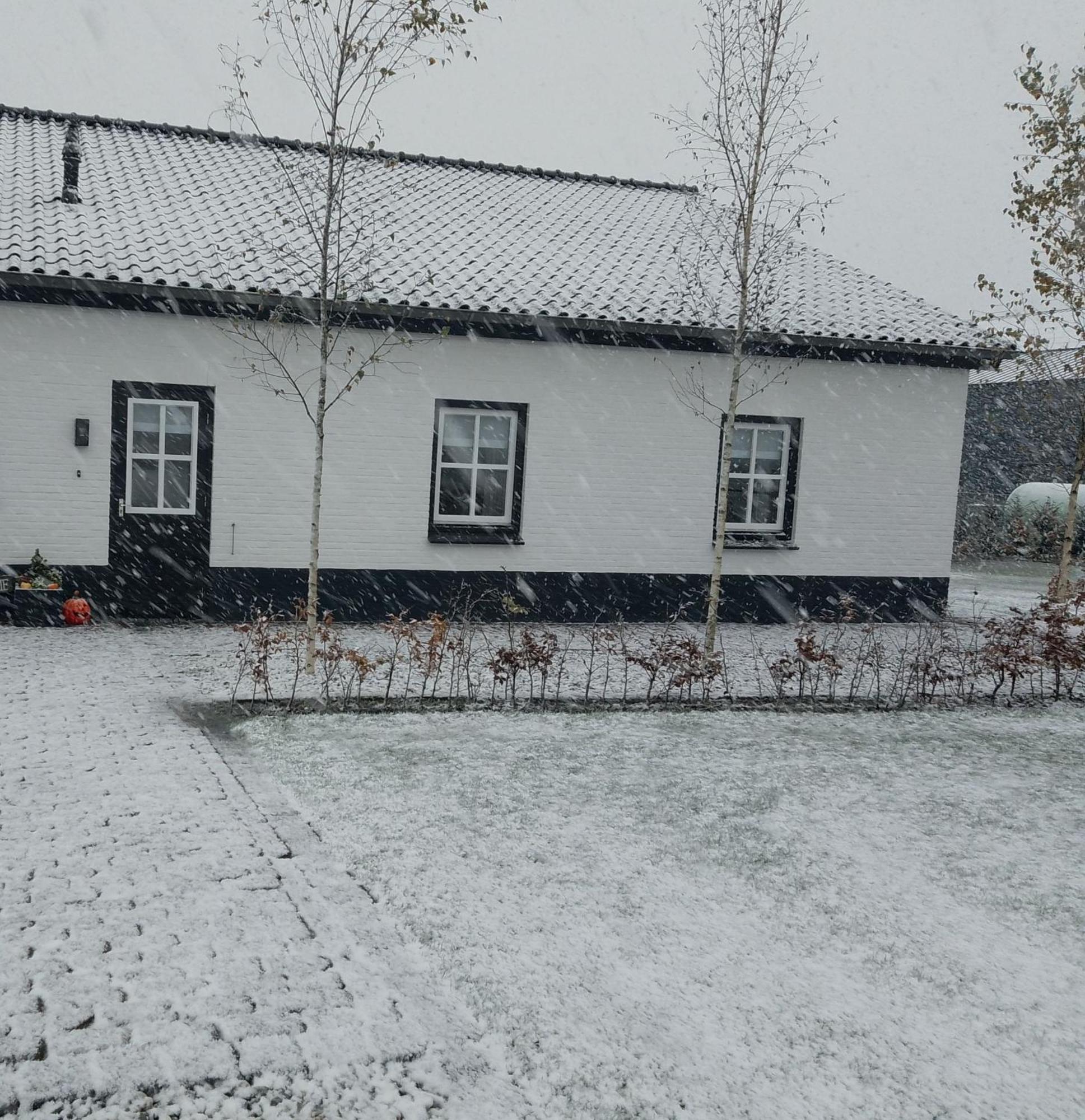 Ut Witte Huisje Venhorst エクステリア 写真